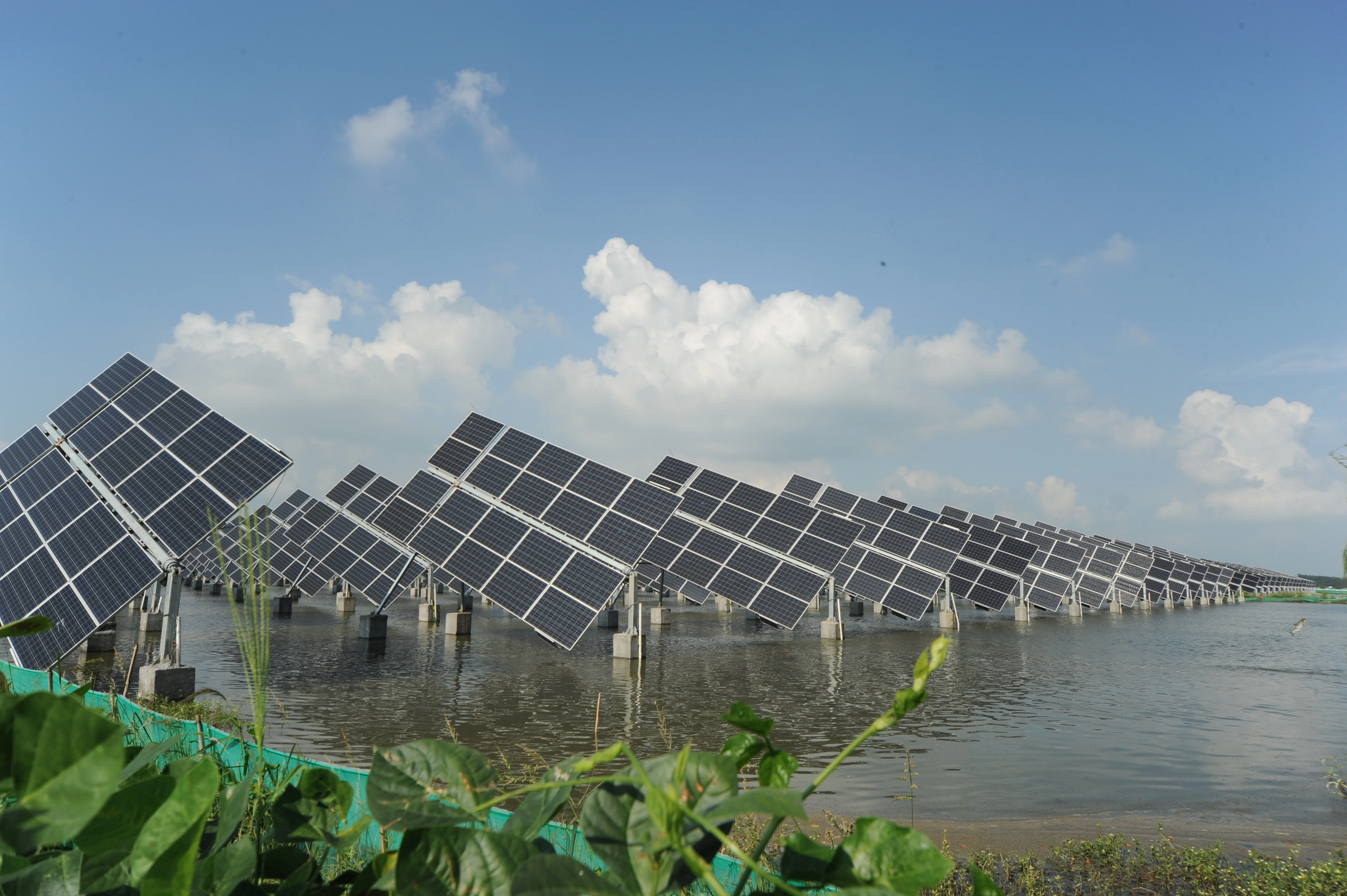 “渔光互补”二期、三期